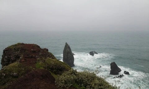 20160413_1445278.jpg?type=w773