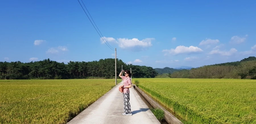 1599230604204.jpg?type=w1