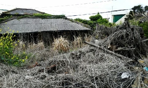 C360_2016-04-11-11-35-26-771.jpg?type=w773