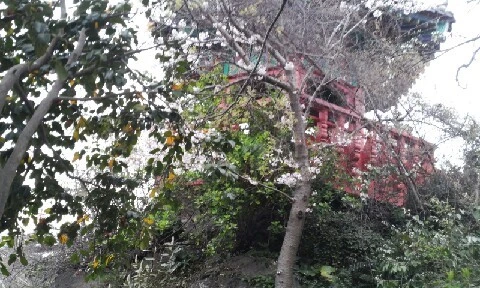 20160405_1717227.jpg?type=w773