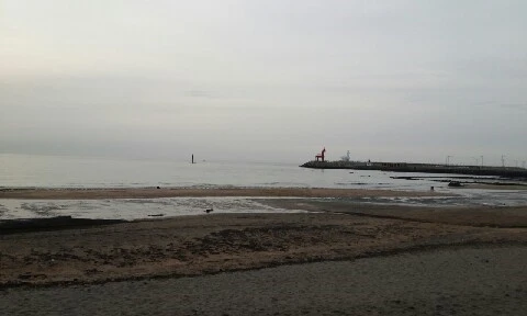 20160405_1818346.jpg?type=w773