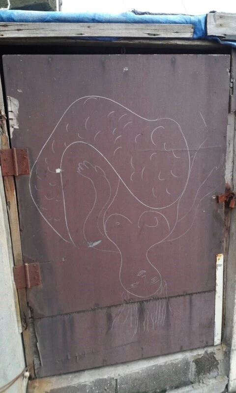 20160405_1727112.jpg?type=w773