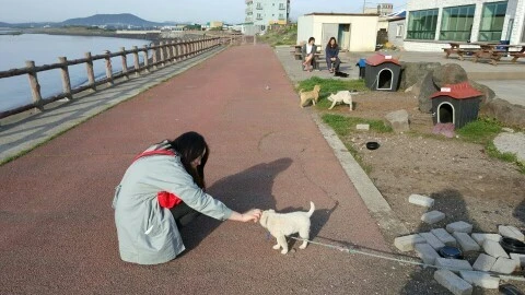 1460156832799.jpeg?type=w773