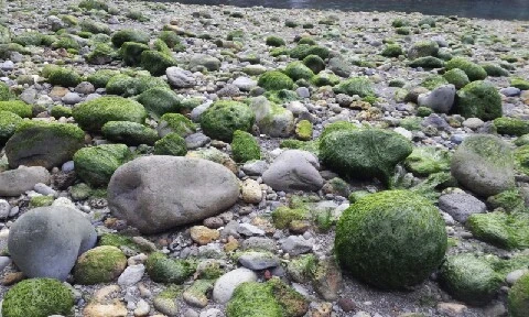 20160405_1731274.jpg?type=w773