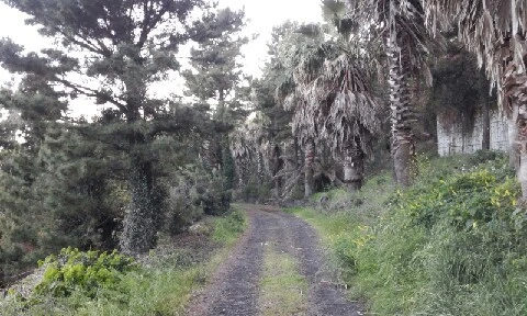 20160417_1806278.jpg?type=w773