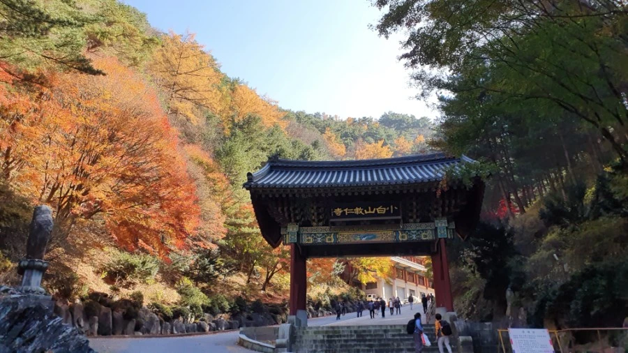 1604840420468%25EF%25BC%258D19.jpg?type=w1