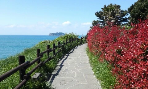 20160417_1038553.jpg?type=w773