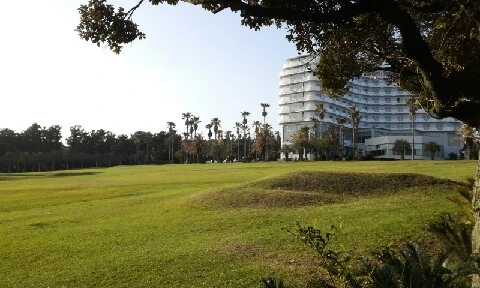 20160415_1737553.jpg?type=w773