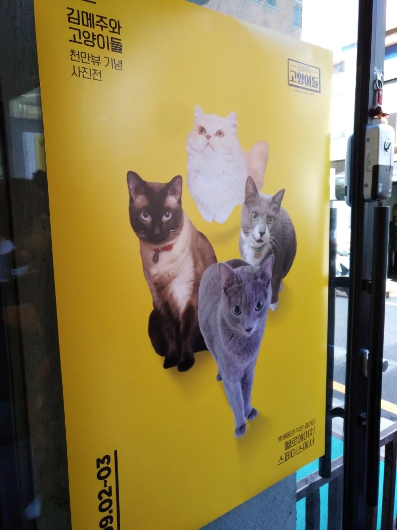 IMG_20170902_123606.jpg?type=w773