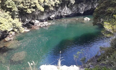 20160415_1445143.jpg?type=w773