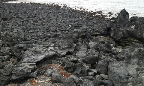 20160405_1655023.jpg?type=w773