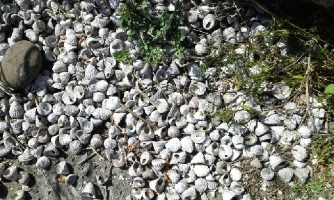 20160417_1456383.jpg?type=w773