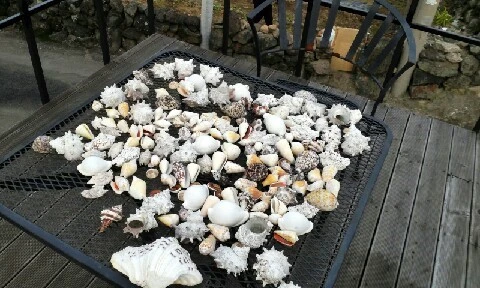 C360_2016-04-10-17-30-39-920.jpg?type=w773