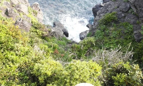 20160414_1626434.jpg?type=w773