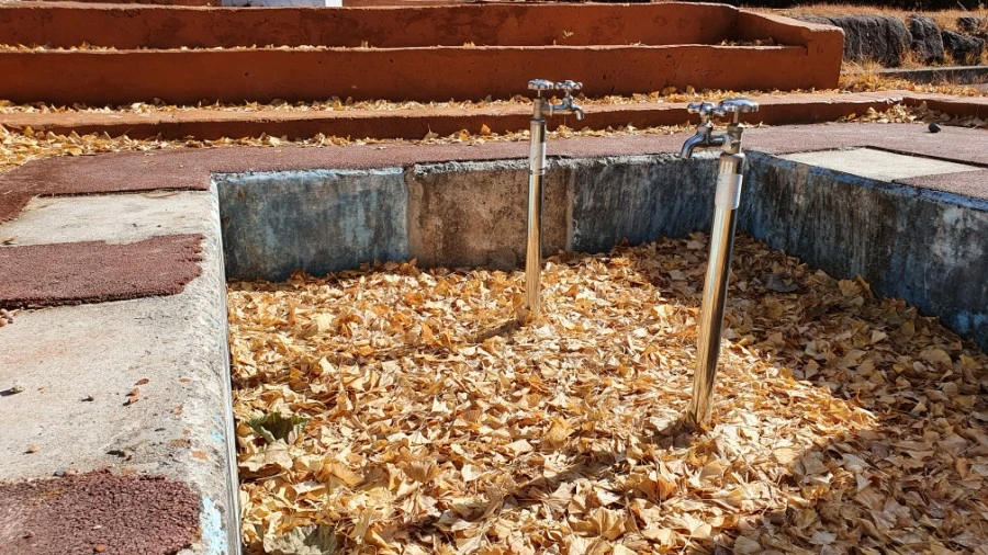 1604840420468%25EF%25BC%258D13.jpg?type=w1