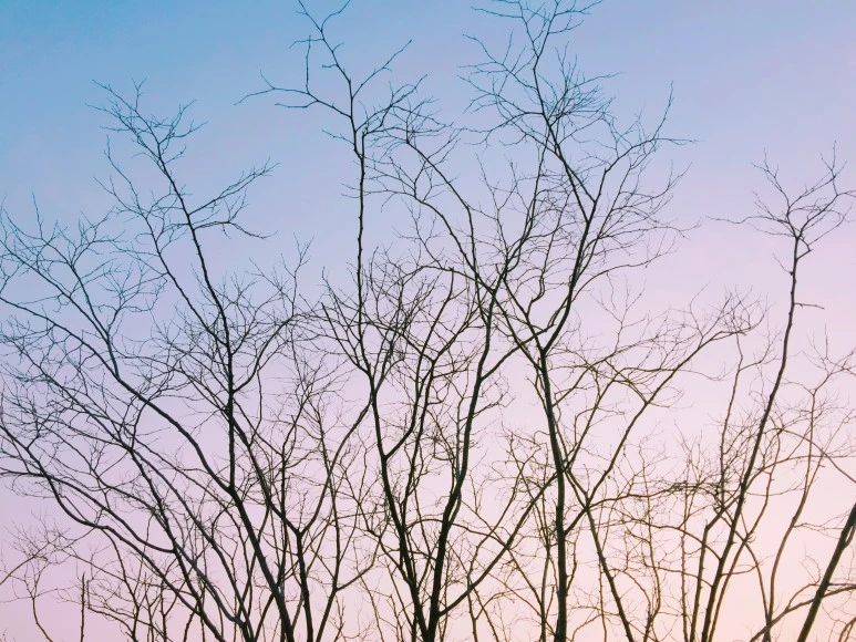 1490672736814.jpg?type=w773