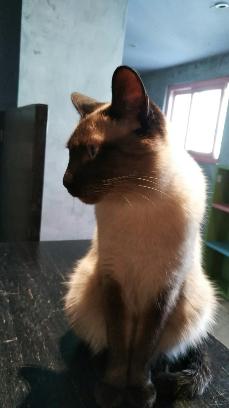 IMG_20170603_183000.jpg?type=w773