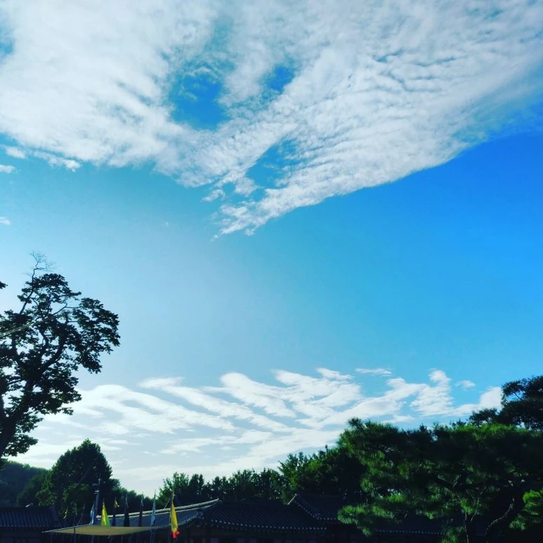 IMG_20170826_222108_565.jpg?type=w773