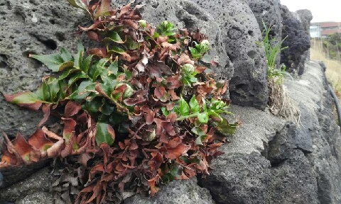 20160405_1645171.jpg?type=w773