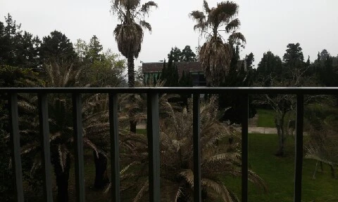 20160413_1549166.jpg?type=w773