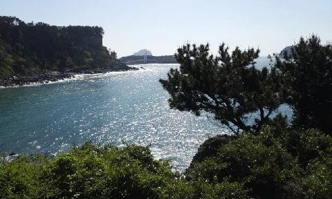 20160417_0945038.jpg?type=w773