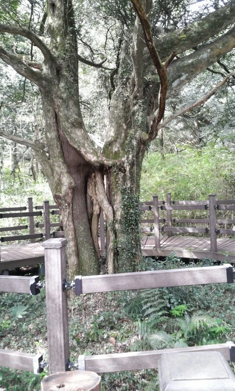 C360_2016-04-09-10-42-24-958.jpg?type=w773