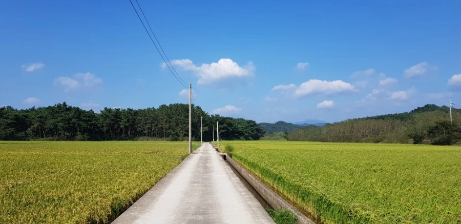 1599230605053.jpg?type=w1