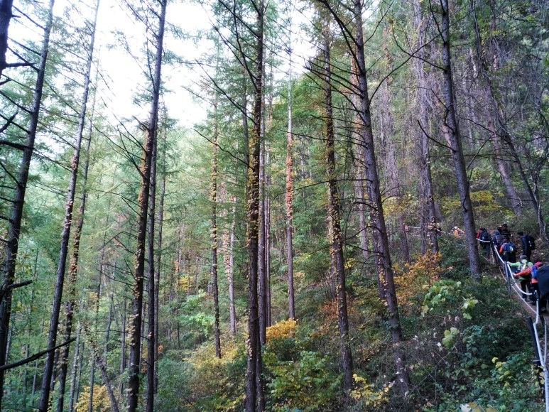 IMG_20171022_104045.jpg?type=w773