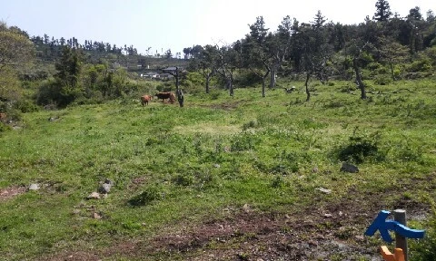 20160419_1032487.jpg?type=w773