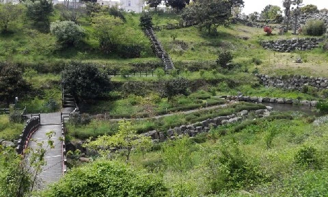 20160418_1252375.jpg?type=w773