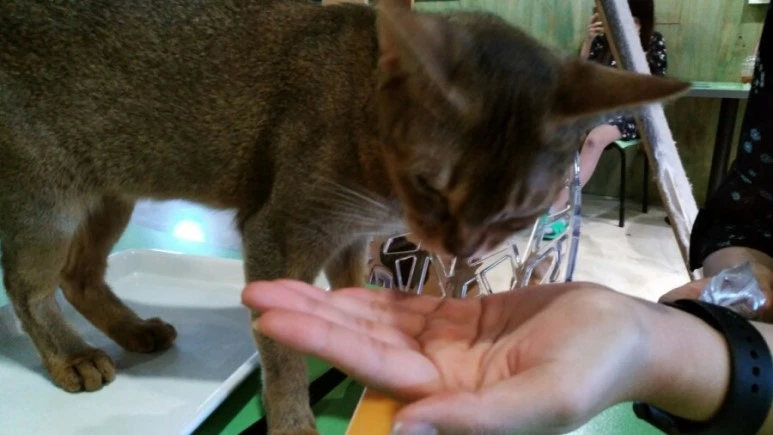 IMG_20170603_181325.jpg?type=w773