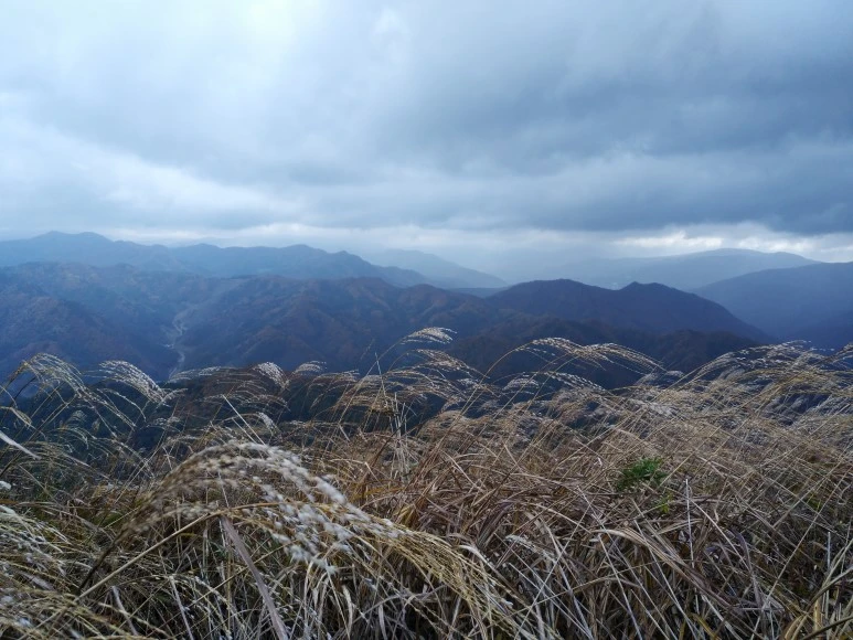 IMG_20171022_120254.jpg?type=w773