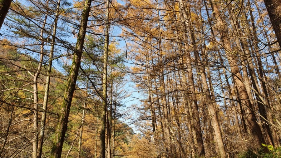 1604840420468%25EF%25BC%258D10.jpg?type=w1