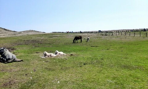 C360_2016-04-08-13-52-41-592.jpg?type=w773