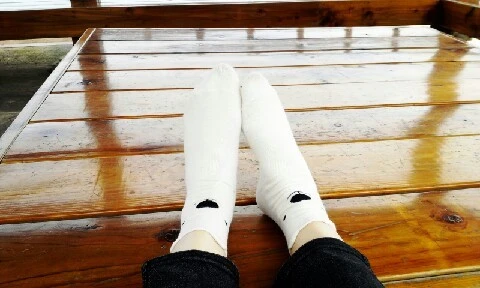 C360_2016-04-11-12-16-56-798.jpg?type=w773