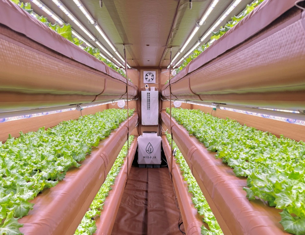 1707283180359?e=1713398400&v=beta&t=_t2V5xY7GPKnxiNvzvj6_Kb3AqatRbzE0RuJrenbVd4