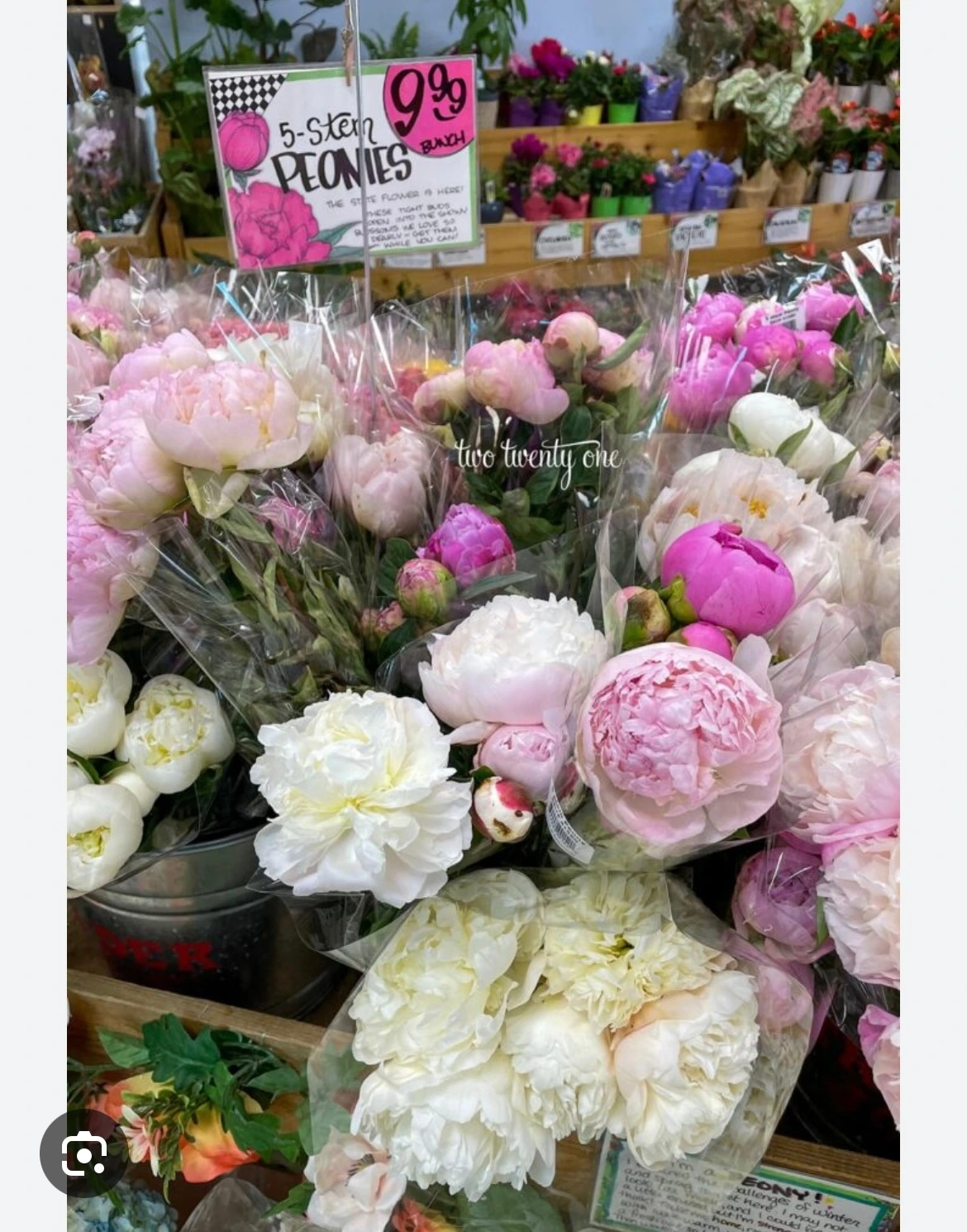 trader joes sstore flowers.jpeg