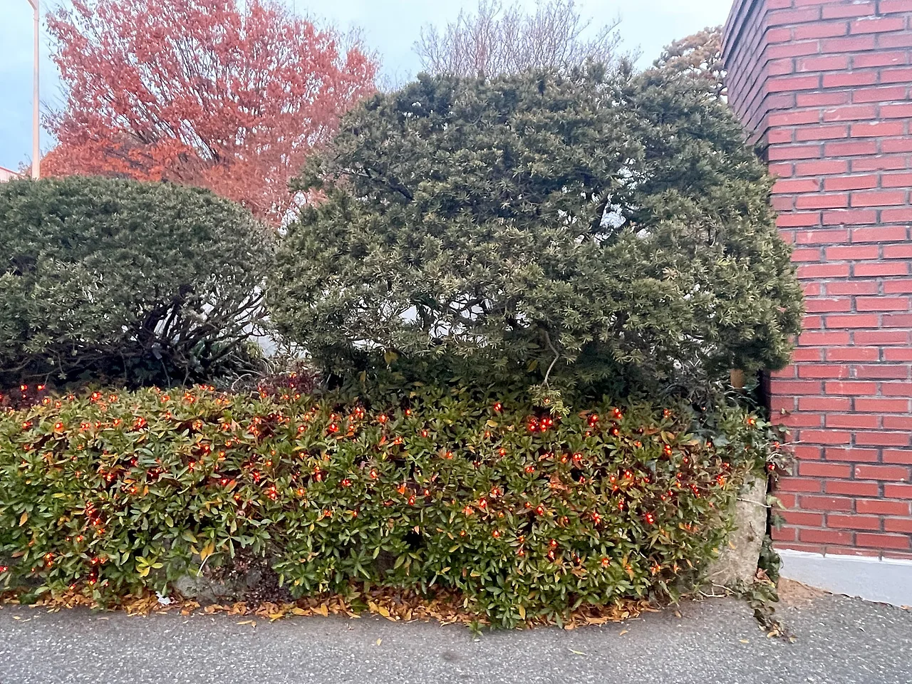 IMG%EF%BC%BF3602.JPG?type=w1600