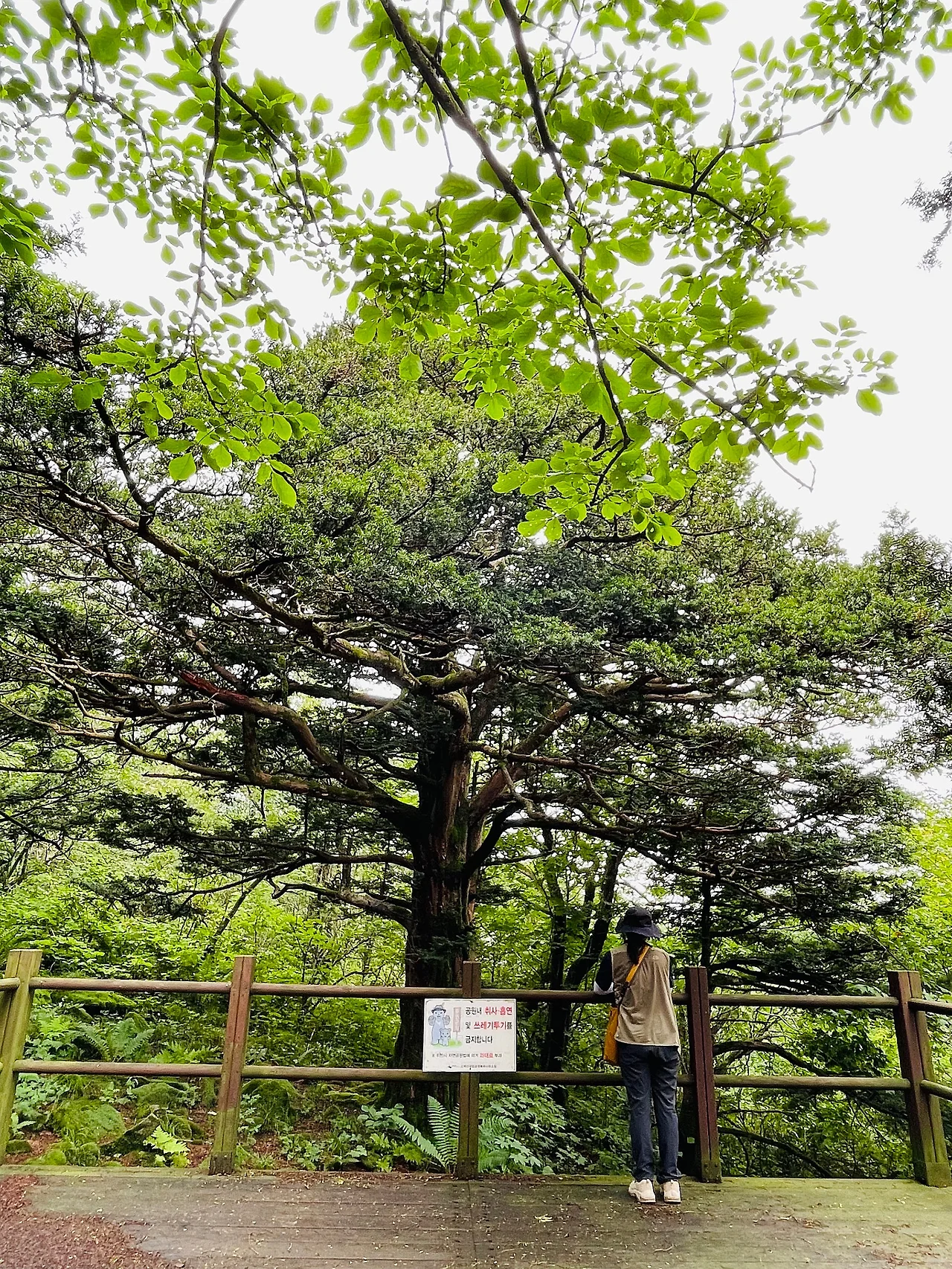 IMG_5433.JPG?type=w1600