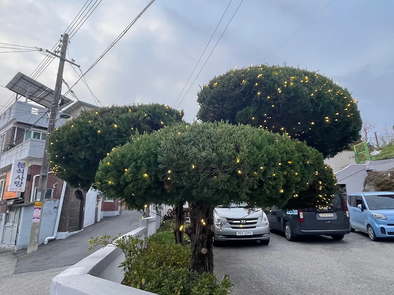 IMG%EF%BC%BF3601.JPG?type=w1600