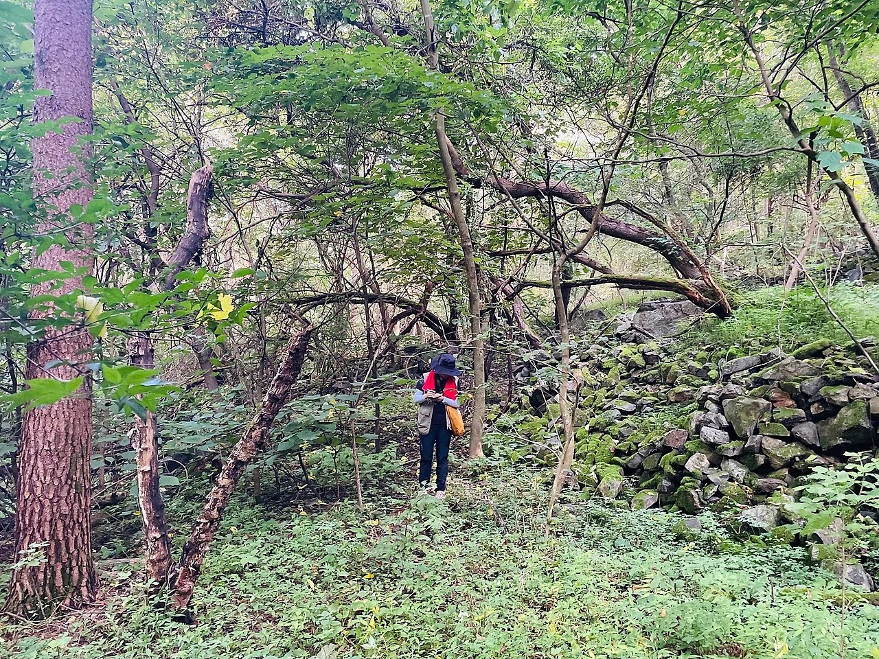 IMG_5471.JPG?type=w1600