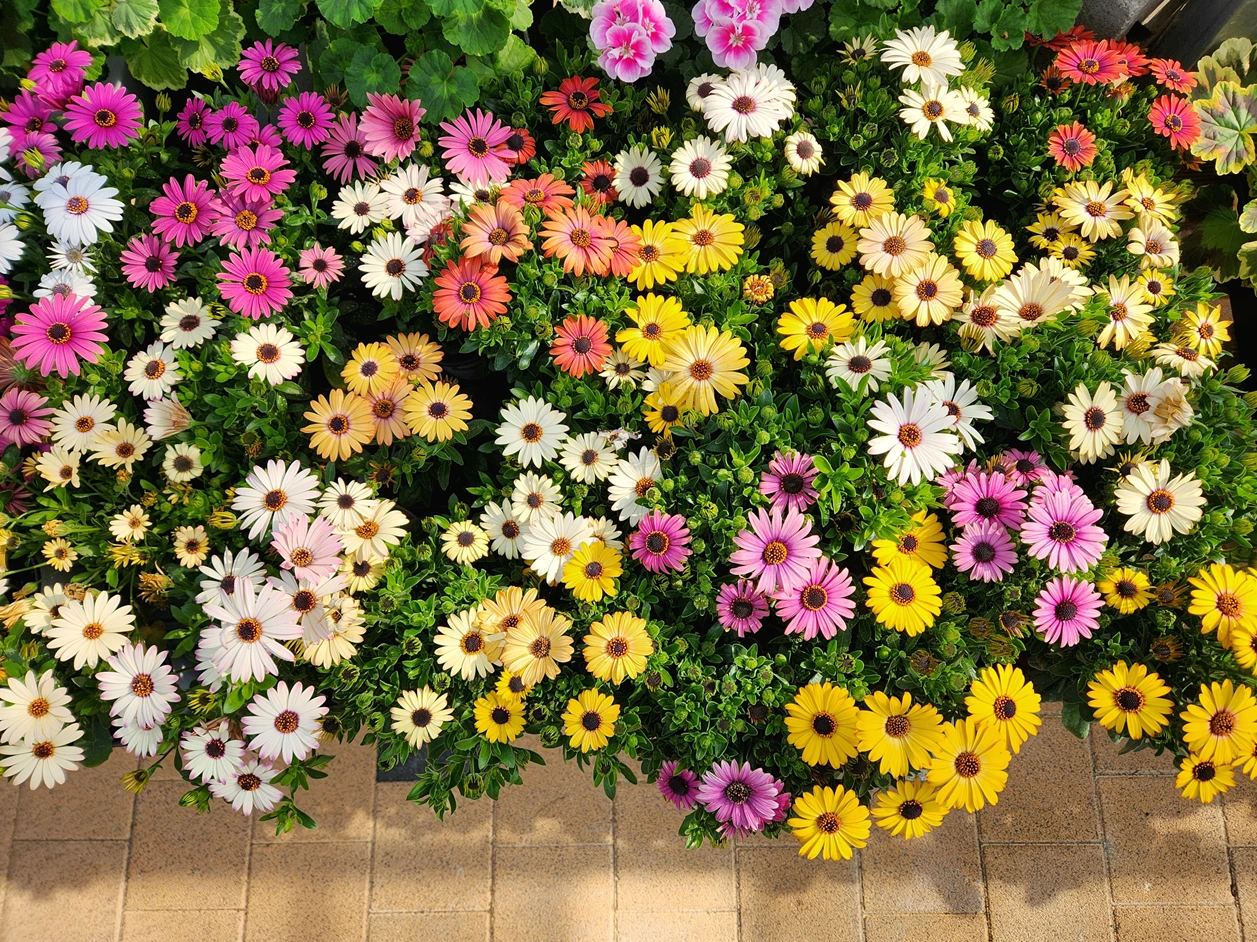 image.png?type=w3840