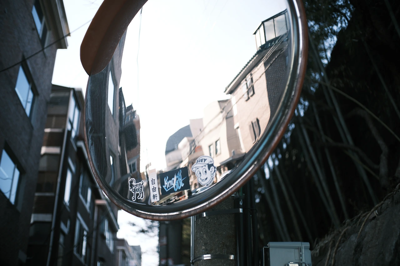 DSCF0339 - 복사본.JPG