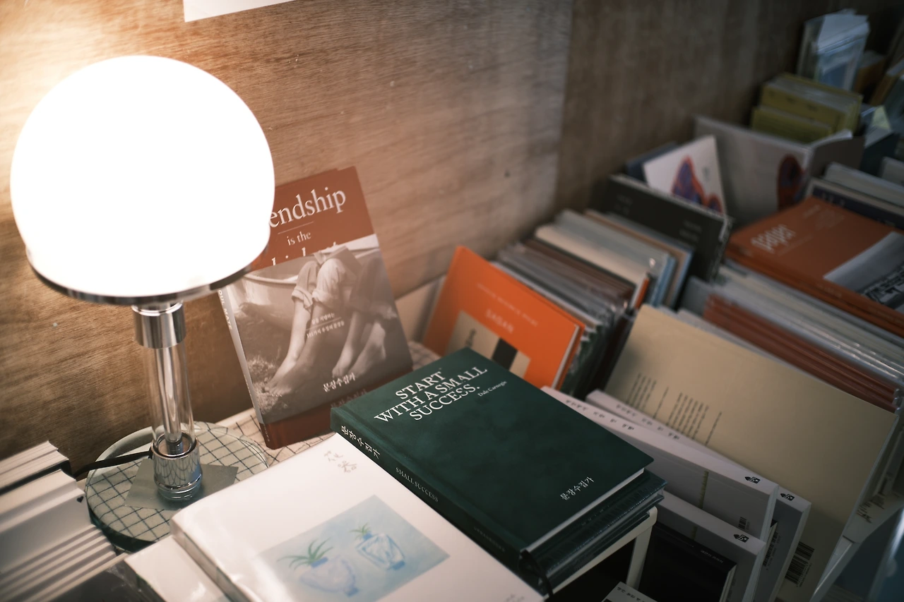 DSCF0453 - 복사본.JPG