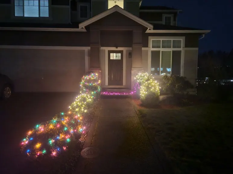 20241210_172336.jpg?type=w773