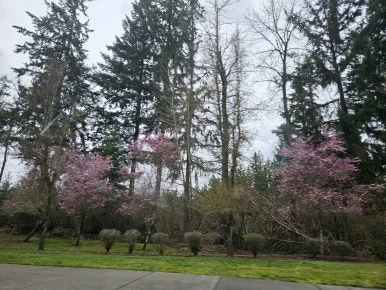 20250322_164342.jpg?type=w386