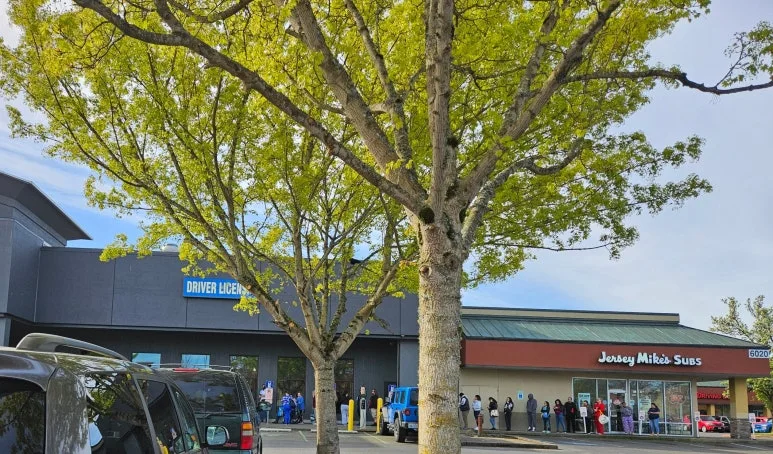 SE-01ddd978-e01a-420d-b1e1-797cc88d893b.jpg?type=w773