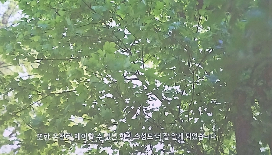 900%EF%BC%BF1739258159862.jpg?type=w1