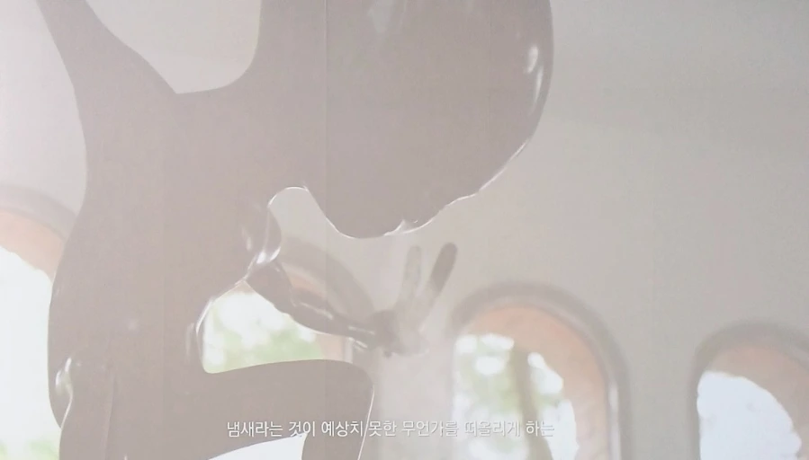 900%EF%BC%BF1739258160973.jpg?type=w1