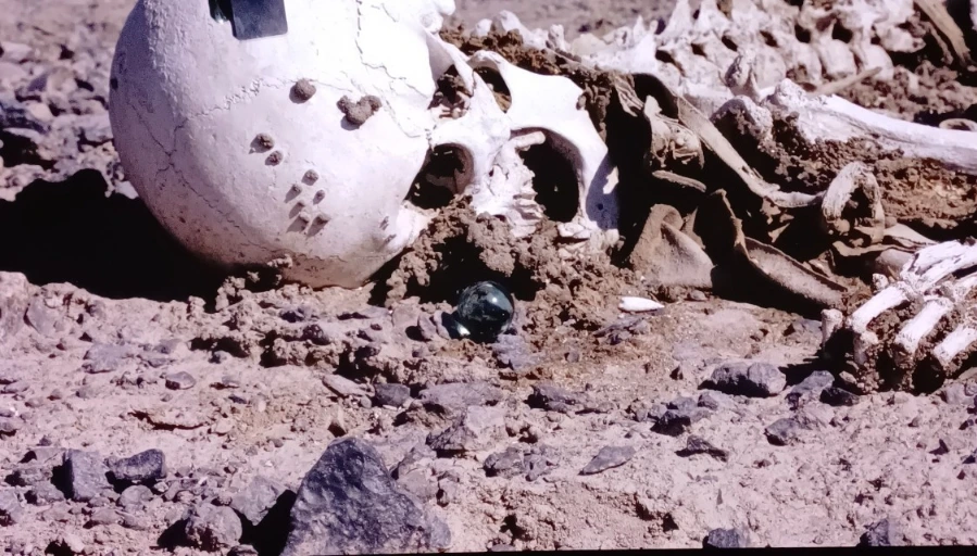 900%EF%BC%BF1741166541747.jpg?type=w1